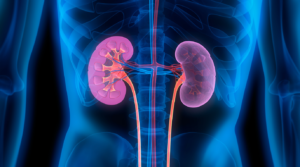 Nephrology Treatment in Madurai