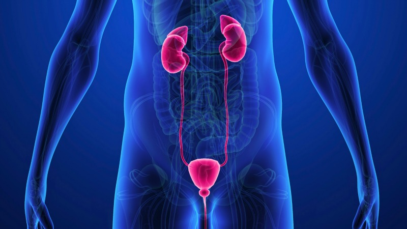 Urology & Andrology Treatment in Madurai