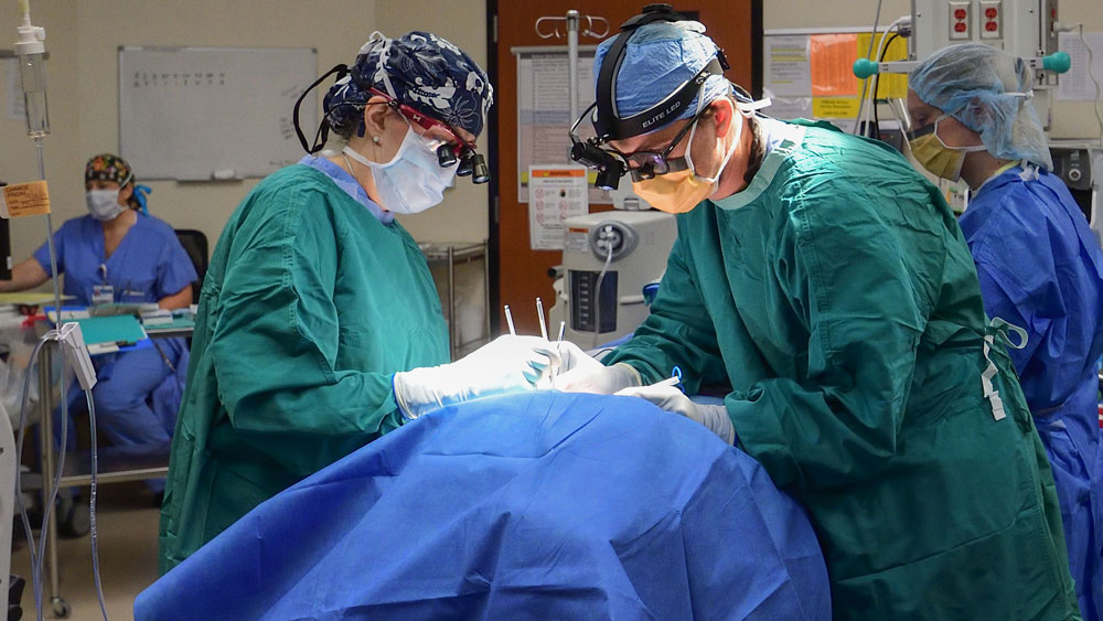 Endocrine Surgery Services