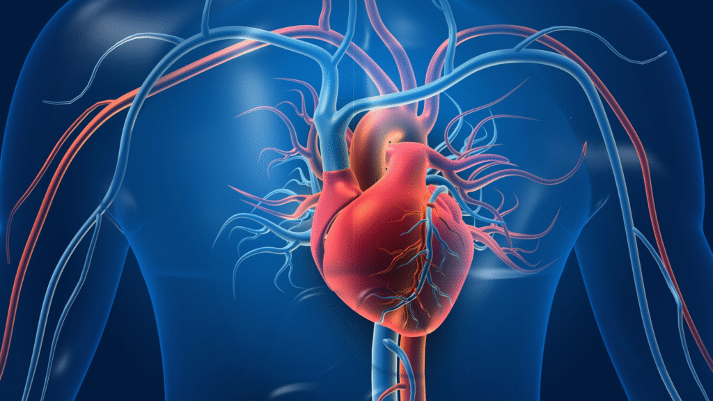 Cardiology Treatment in Madurai