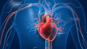 Cardiology Treatment in Madurai